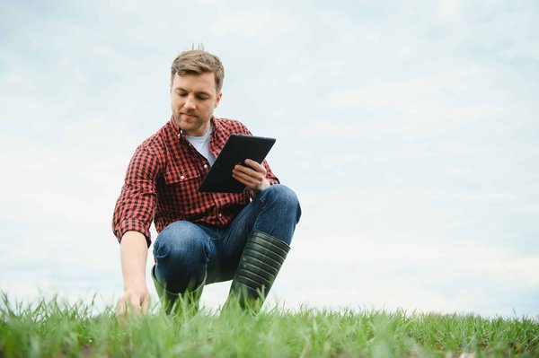 Consultant en audit agro-alimentaire : quelle formation suivre ?