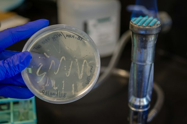 Trouvez votre boîte à colis chez Renz